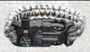 Bracelet paracorde Hamer / ACU Camo