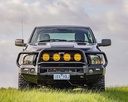 BULL BAR Premium Dodge RAM DS