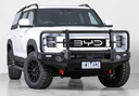 Bull Bar Aluminium Deluxe 